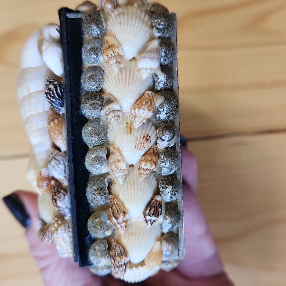 Sea Shell Box Trinkets Jewelry - Picture 6 of 12